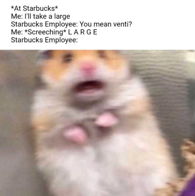 *At Starbucks* Me I'll take a large Starbucks Employee You mean venti