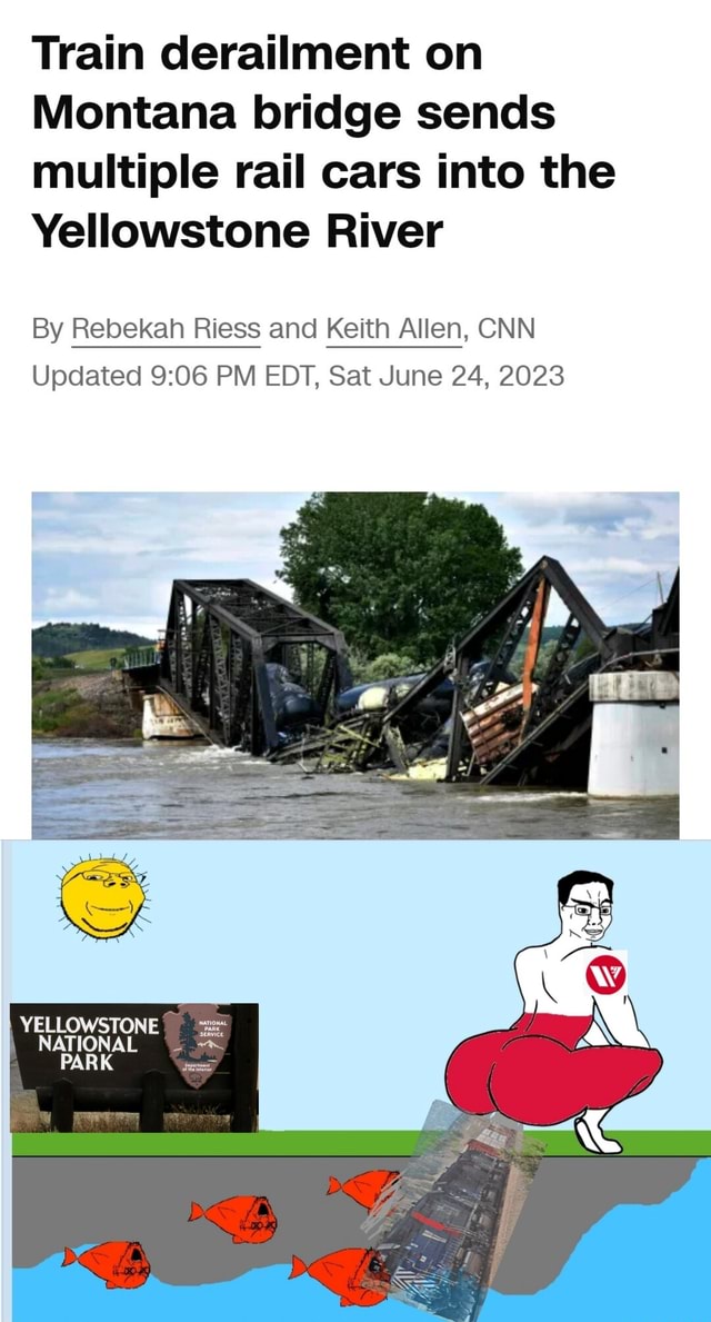 Train derailment on Montana bridge sends multiple rail cars into the