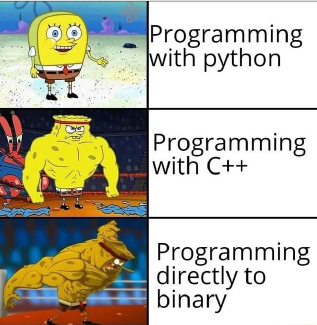 Programming jwith python Programming with C++ Programming directly to ...