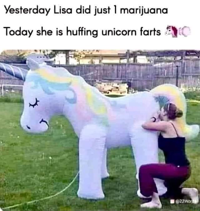 Yesterday Lisa did just marijuana Today she is huffing unicorn farts