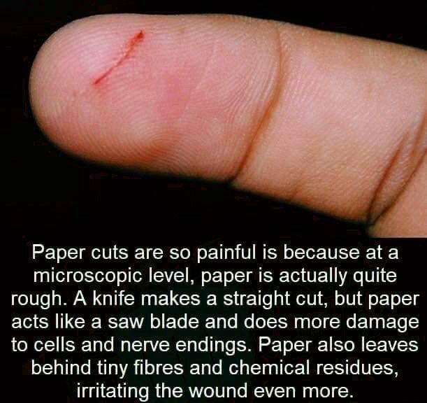 the meaning of paper cut