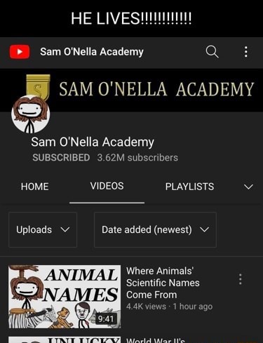 HE Sam ONella Academy Q SAM O'NELLA ACADEMY Sam O'Nella Academy