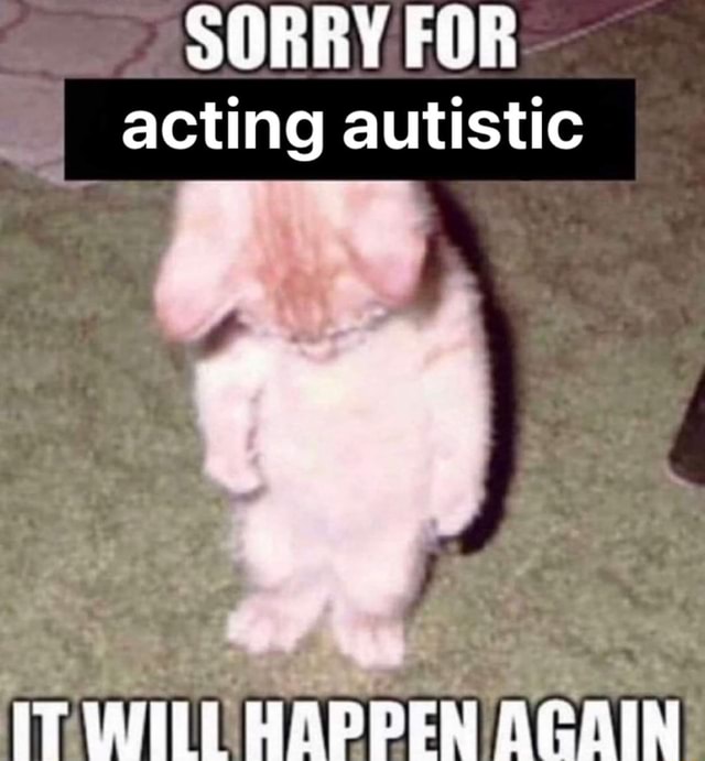 sorry-for-acting-autistic-it-will-happen-again-ifunny