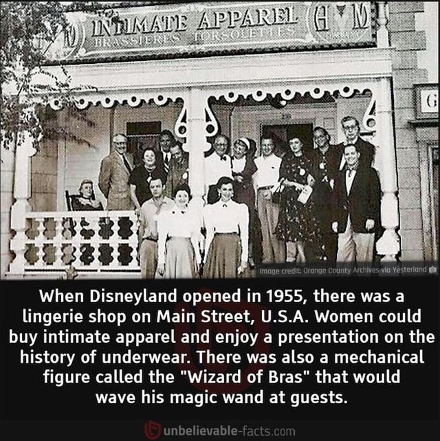 When Disneyland opened in 19S5 there was a lingerie shop on Main