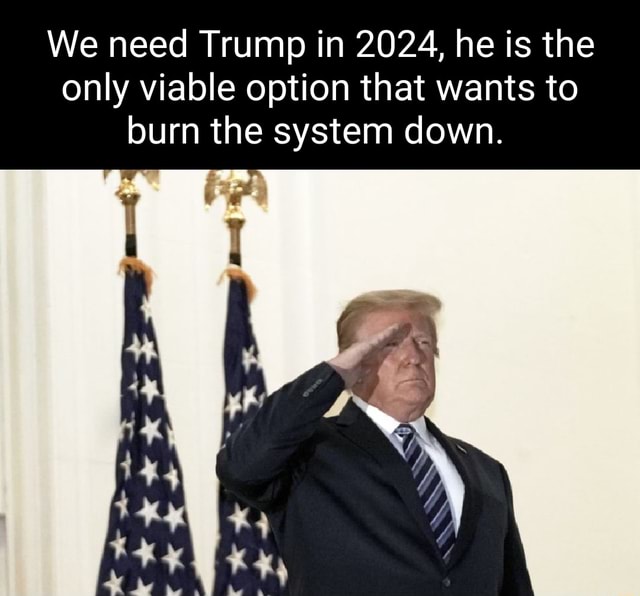 We need Trump in 2024, he is the only viable option that wants to burn