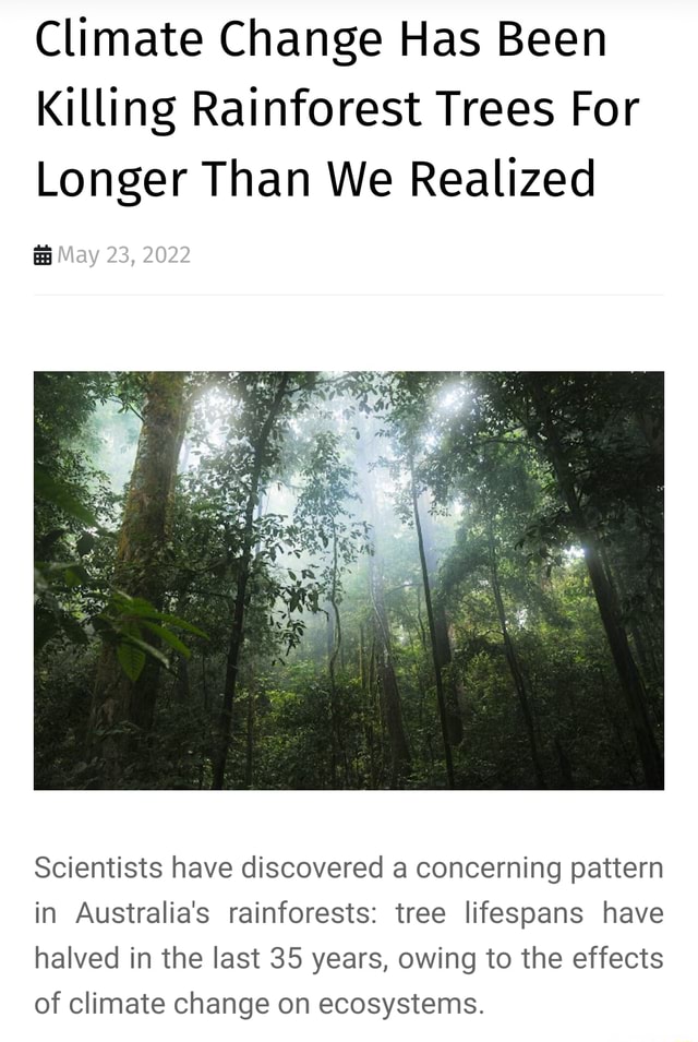 Climate Change Has Been Killing Rainforest Trees For Longer Than We ...