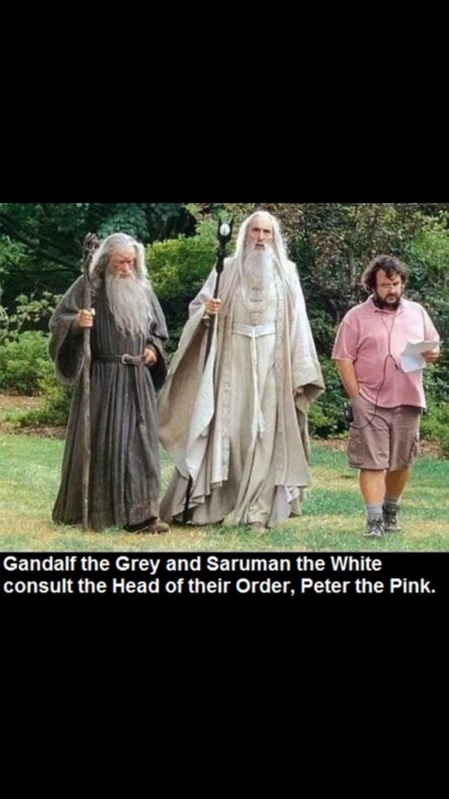 gandalf-the-grey-and-saruman-the-white-consult-the-head-of-their-order