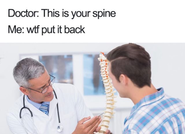 Doctor: This is your spine Me: wtf put it back - iFunny