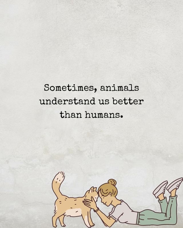 Sometimes, animals understand us better than humans. 