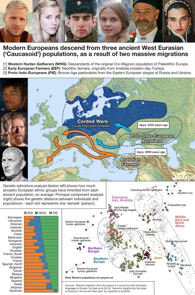 Modern Europeans descend from three ancient West Eurasian ('Caucasoid