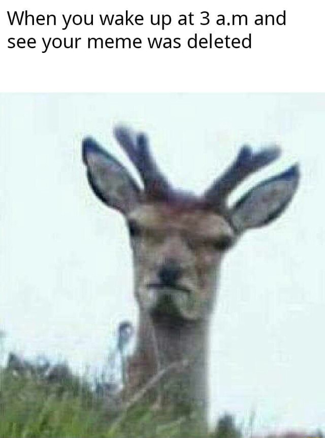 A meme about Imgur When you wake up at 3 a.m and see your meme was