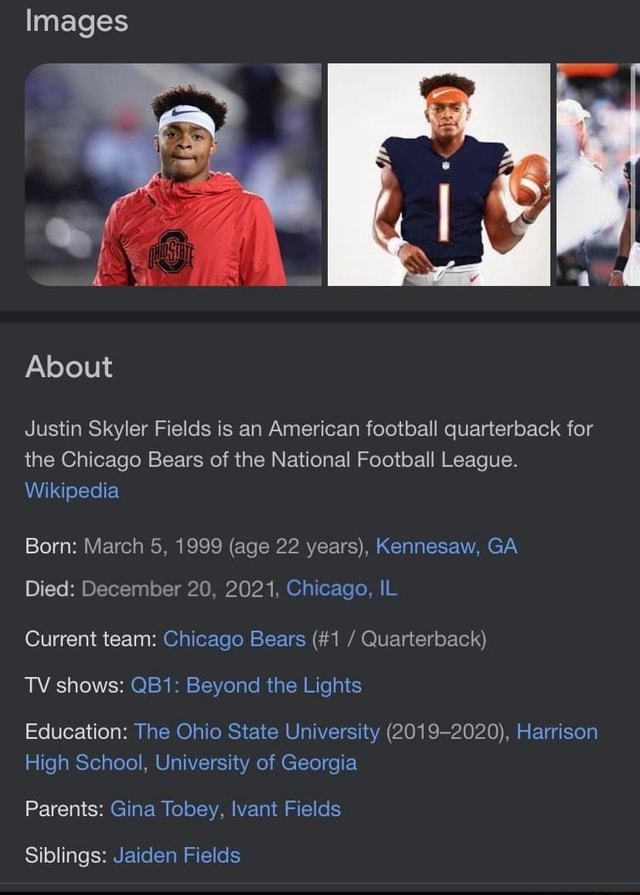 Chicago Bears, American Football Wiki