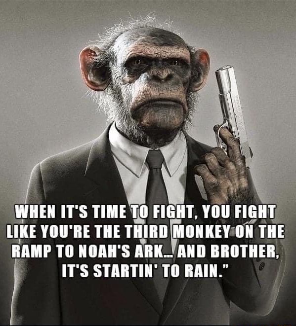 WHEN IT'S TIME TO FIGHT, YOU FIGHT LIKE YOU'RE THE THIRD MONKEY ON THE ...