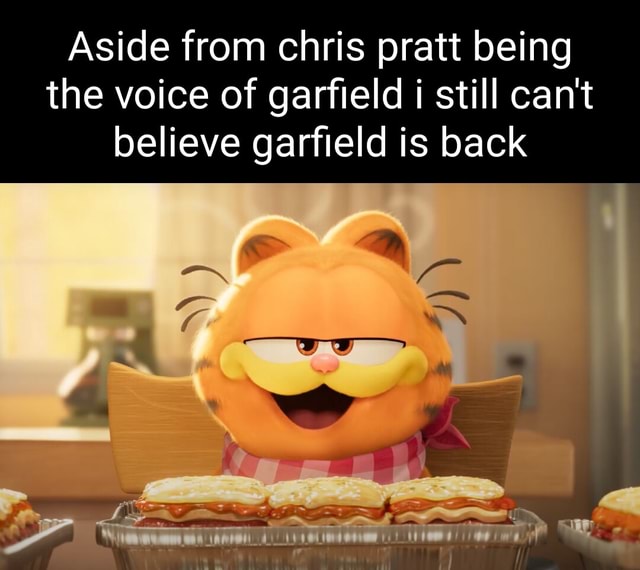 Aside From Chris Pratt Being The Voice Of Garfield I Still Cant Believe ...