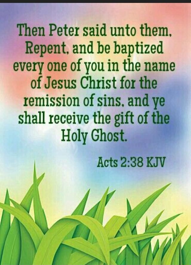 Then Peter said unto them, Repent, and be baptized every one of you in ...