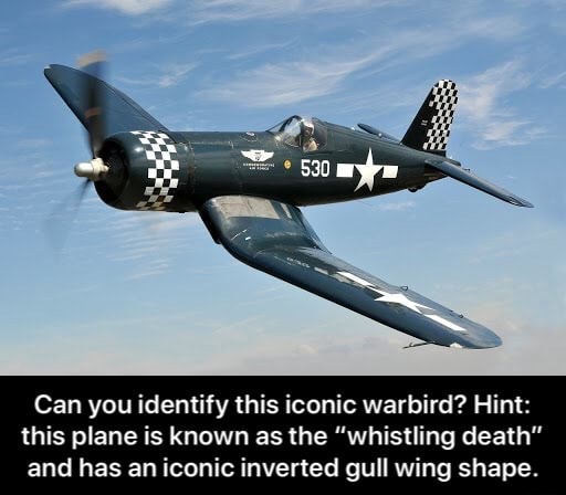 Can you identify this iconic warbird? Hint: this plane is known as the ...