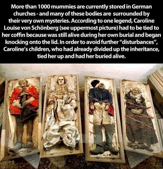 german mummies covered in gold