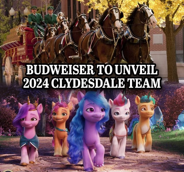 BUDWEISER TO UNVEIL 2024 CLYDESDALE TEAM iFunny