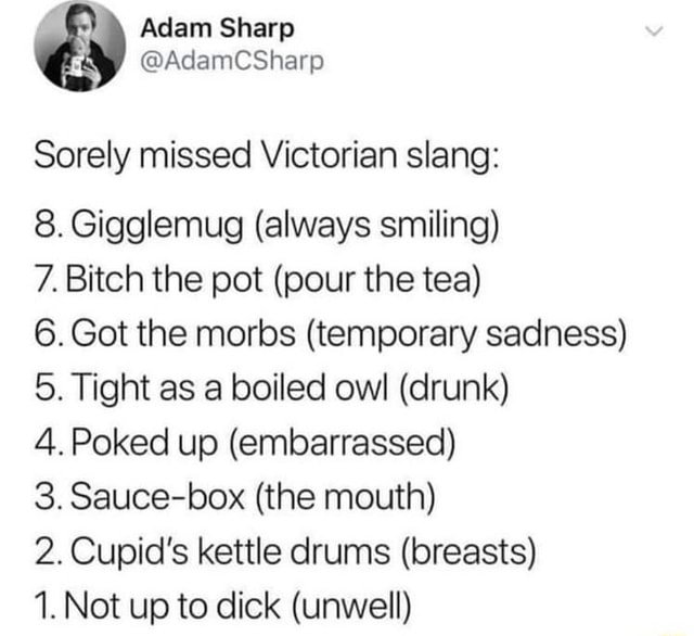 adam-sharp-adamcsharp-sorely-missed-victorian-slang-8-gigglemug