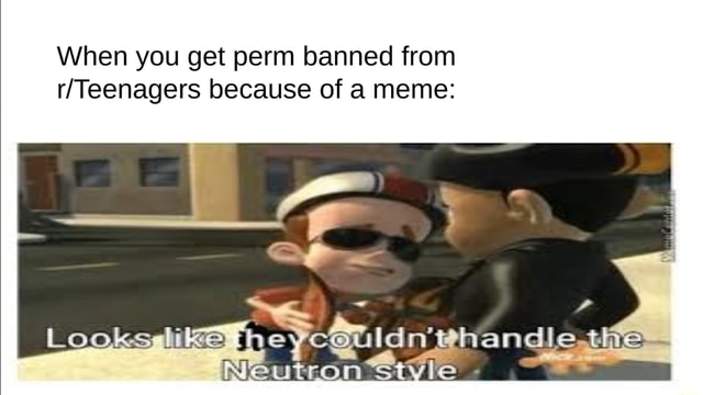 When You Get Perm Banned From Because Of A Meme