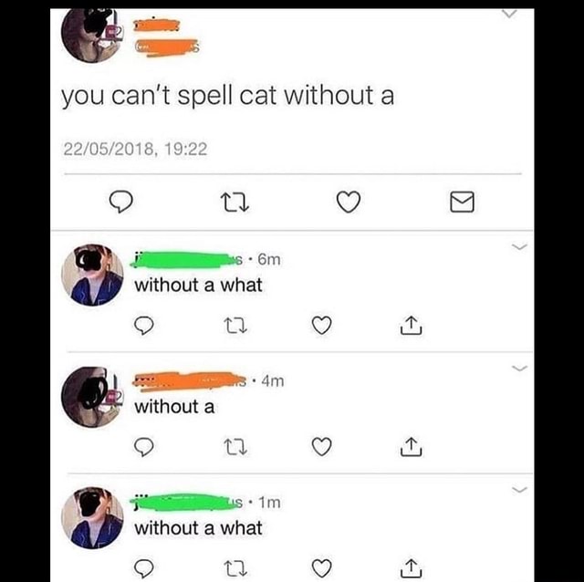 You can’t spell cat without a - iFunny