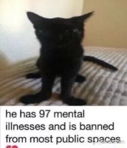 He has 97 mental illnesses and is banned from most public snares - iFunny
