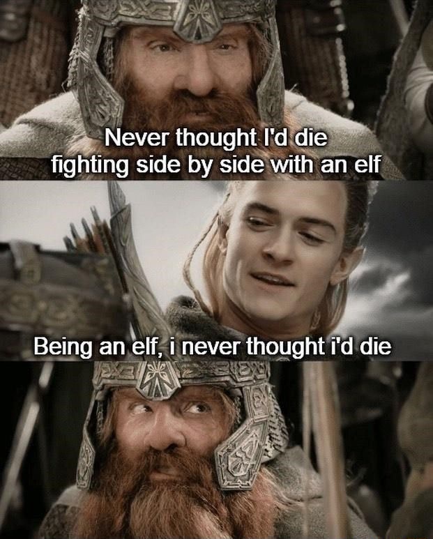 Never thought I'd die fighting side by side with an eif Being an elf, i ...