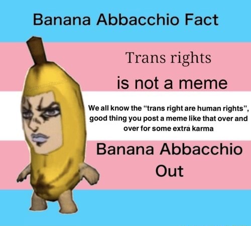 Trans rights is nota meme We all know the 