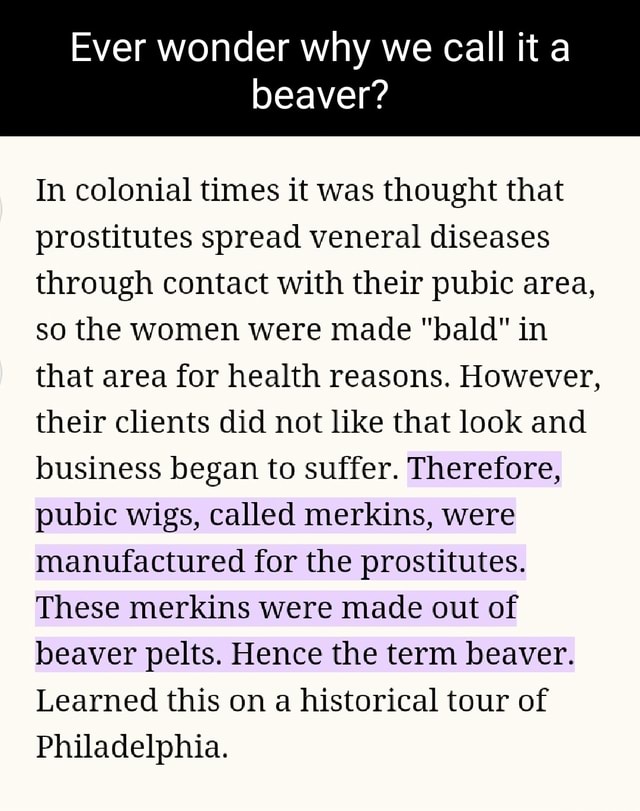 Ever Wonder Why We Call It A Beaver In Colonial Times It Was Thought That Prostitutes Spread