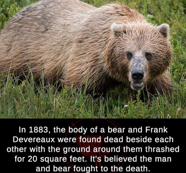 In 1883, the body of a bear and Frank Devereaux were found dead beside ...