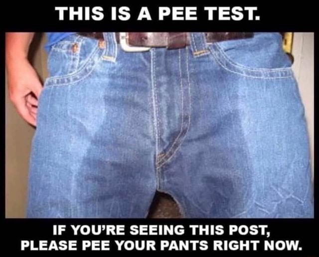THIS IS A PEE TEST. a SEEING THIS POST, PLEASE PEE YOUR PANTS RIGHT NOW