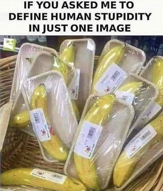 IF YOU ASKED ME TO DEFINE HUMAN STUPIDITY IN JUST ONE IMAGE I I I By ...