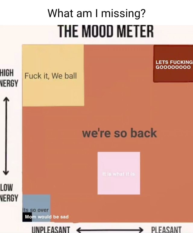 What am I missing? THE MOOD METER LETS FUCKING we're so back HIGH I