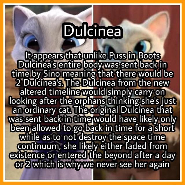 What happens Dulcinea to after the adventures of Puss In boots show is