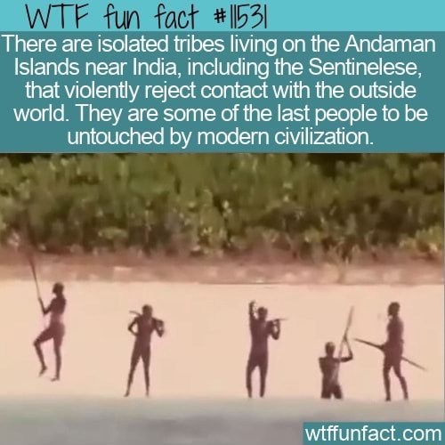Wtf Fun Fact There Are Isolated Tribes Living On The Andaman Islands Near India Including The