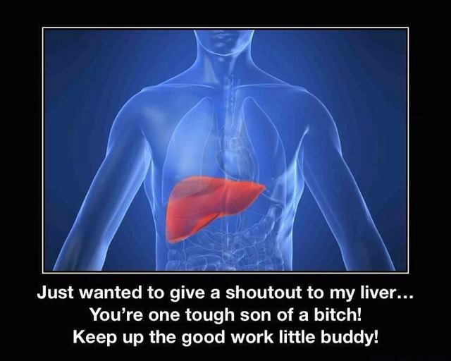 Just Wanted To Give A Shoutout To My Liver You Re One Tough Son Of A Bitch Keep Up The Good Work Little Buddy