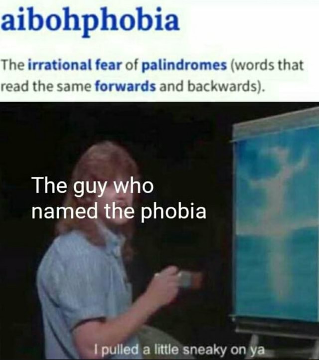 aibohphobia-the-irrational-fear-of-palindromes-words-that-read-the