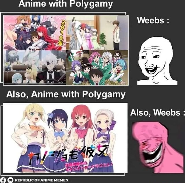 Anime with Polygamy Also, Anime with Polygamy OF ANIME MEMES Also ...