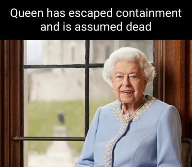 Queen has escaped containment and is assumed dead - iFunny