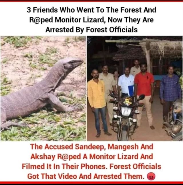 3 Friends Who Went To The Forest And Monitor Lizard, Now They Are