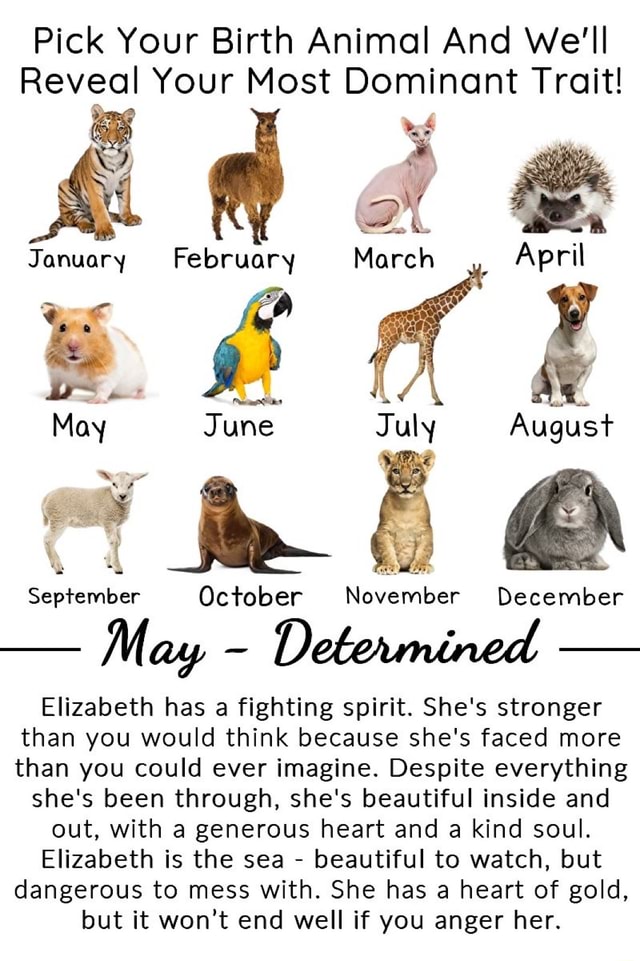 Pick Your Birth Animal And We'll Reveal Your Most Dominant Trait! é hoe  January February March May July a pt wil September October November  December Elizabeth has a fighting spirit. She's stronger