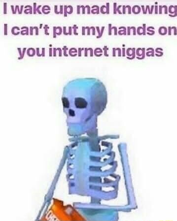 Wake up mad knowing I can't put my hands on you internet niggas - iFunny