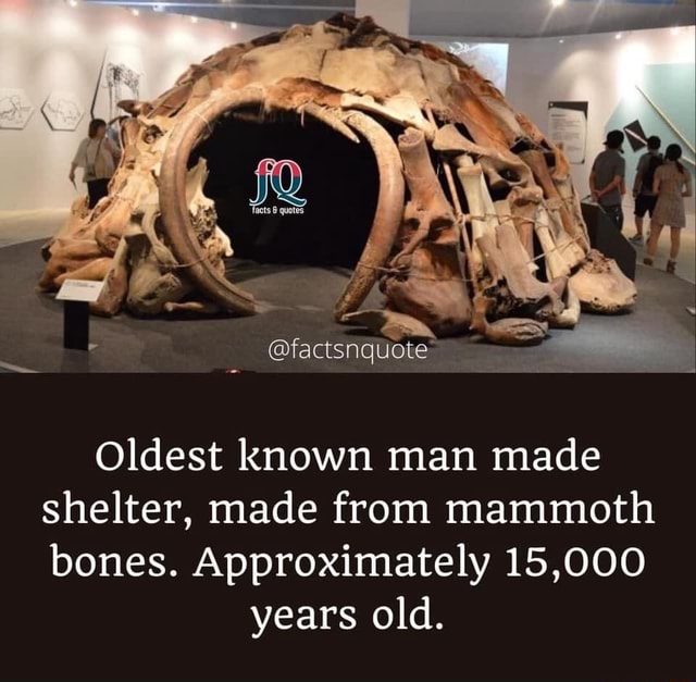 Factsnquote Oldest Known Man Made Shelter Made From Mammoth Bones Approximately 15000 Years 