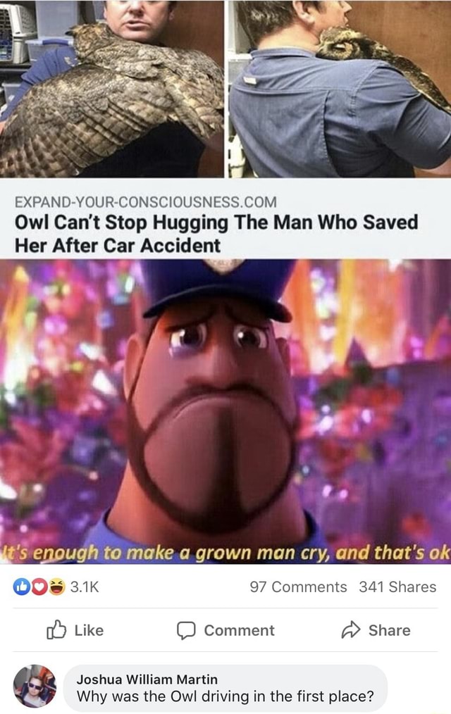 EXPANDYOUR CONSCIOUSNESS COM Owl Can't Stop Hugging The Man Who Saved