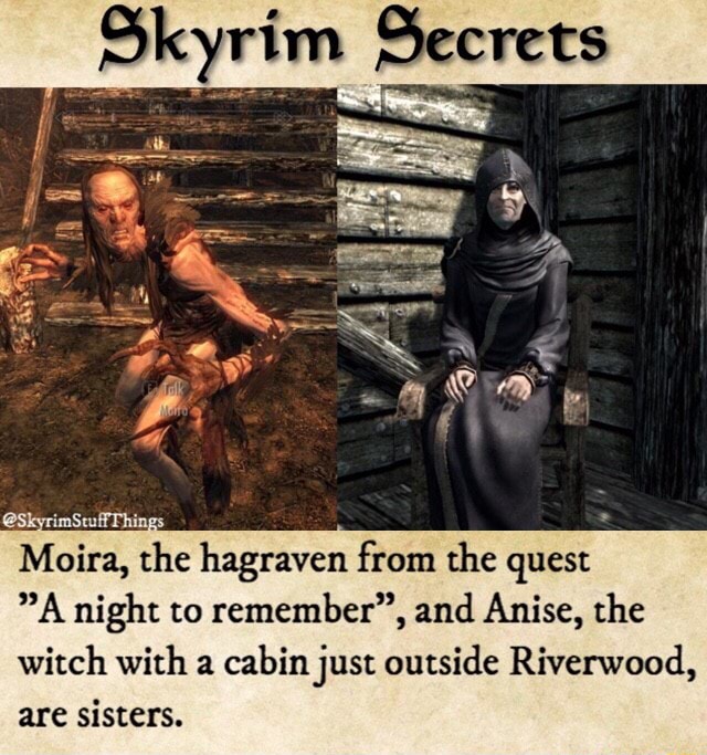 Moira The Hagraven From The Quest A Night To Remember And Anise The Witch With A Cabinjust Outside Riverwood Are Sisters