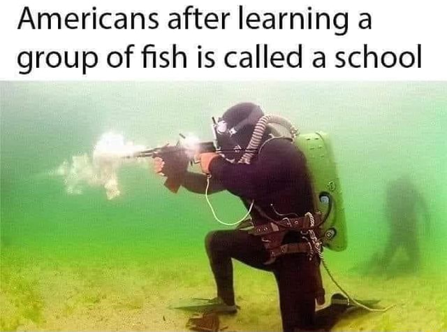 americans-after-learning-a-group-of-fish-is-called-a-school-ifunny