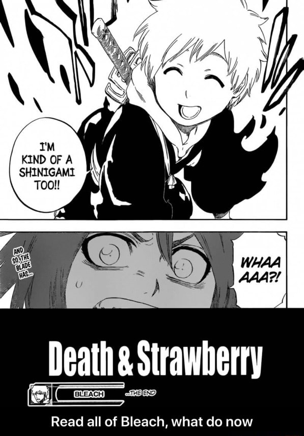 Death Strawberry Read All Of Bleach What Do Now Read All Of Bleach What Do Now