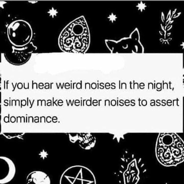 If You Hear Weird Noises In The Night Simply Make Weirder Noises To Assert Dominance Ifunny