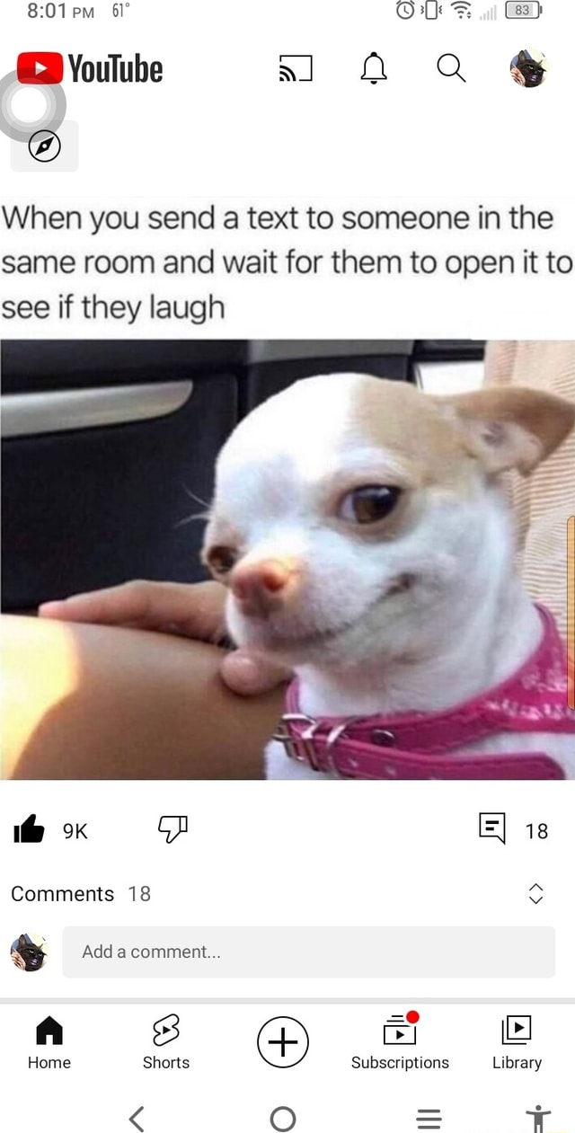 YouTube A Qa When You Send A Text To Someone In The Same Room And youtube-a-qa-when-you-send-a-text-to-someone-in-the-same-room-and