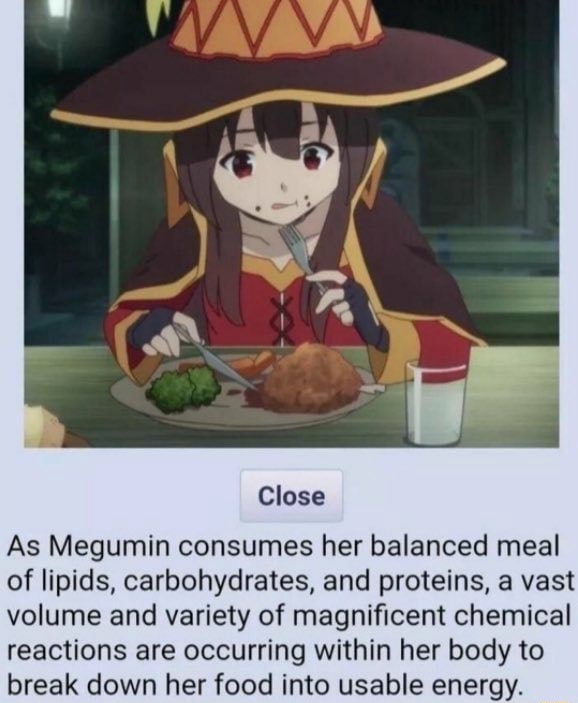 Close As Megumin consumes her balanced meal of lipids, carbohydrates ...